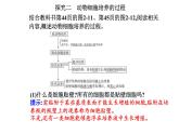 2021-2022学年高中生物新人教版选择性必修3 动物细胞培养   课件（33张）