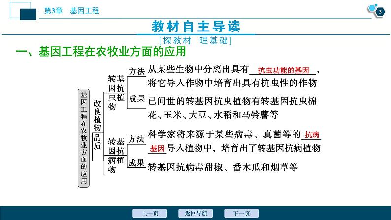 2021-2022学年高中生物新人教版选择性必修3 基因工程的应用（36张）  课件04