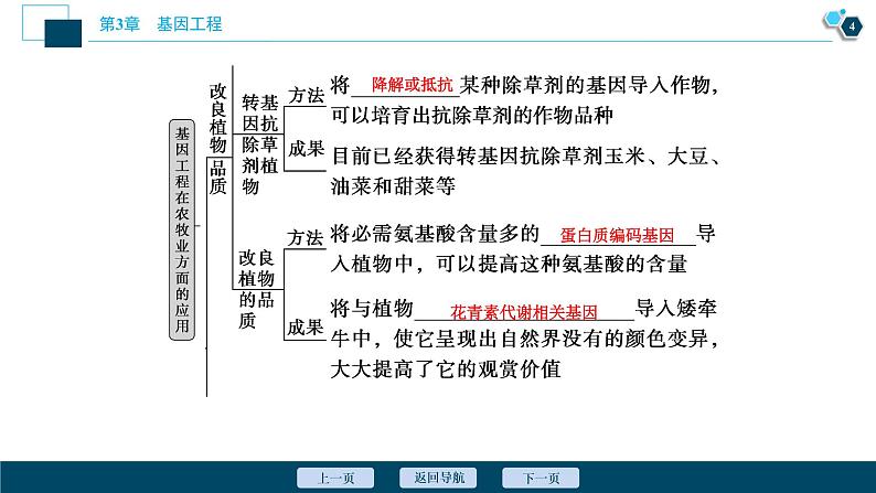 2021-2022学年高中生物新人教版选择性必修3 基因工程的应用（36张）  课件05