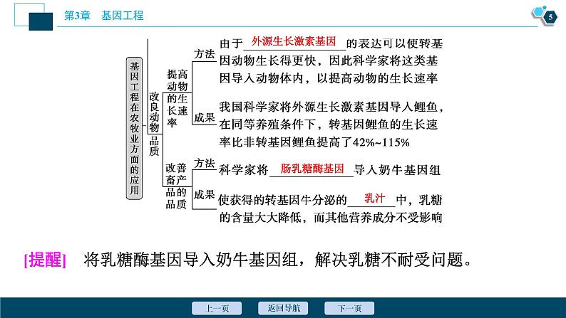 2021-2022学年高中生物新人教版选择性必修3 基因工程的应用（36张）  课件06