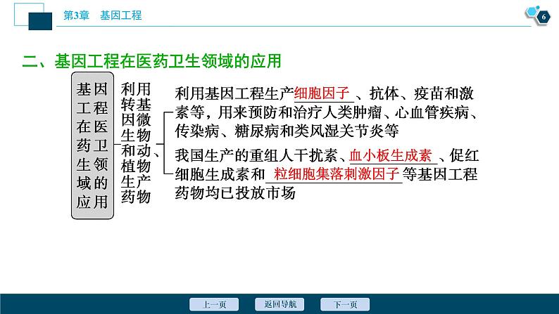 2021-2022学年高中生物新人教版选择性必修3 基因工程的应用（36张）  课件07