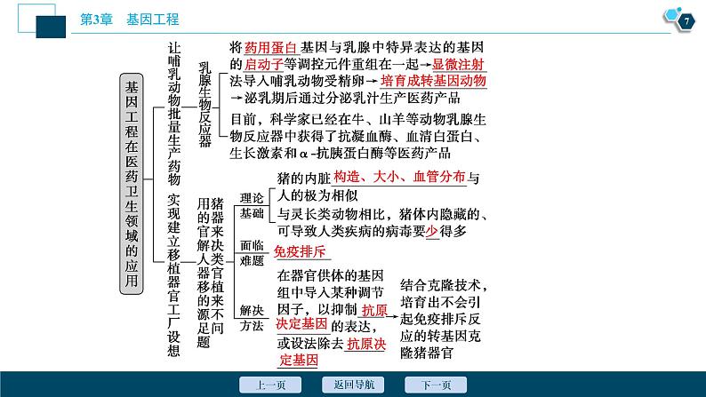 2021-2022学年高中生物新人教版选择性必修3 基因工程的应用（36张）  课件08