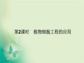 2021-2022学年高中生物新人教版选择性必修3 2.1.2 植物细胞工程的应用 课件（60张）