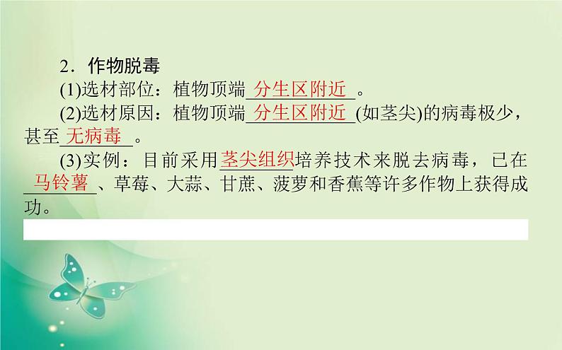 2021-2022学年高中生物新人教版选择性必修3 2.1.2 植物细胞工程的应用 课件（60张）03