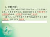 2021-2022学年高中生物新人教版选择性必修3 2.1.2 植物细胞工程的应用 课件（60张）
