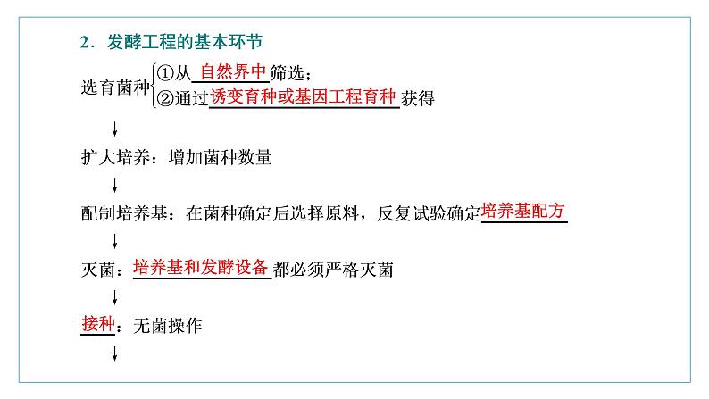 2021-2022学年高中生物新人教版选择性必修3 发酵工程及其应用 课件（42张）（湖南、辽宁、山东）第4页