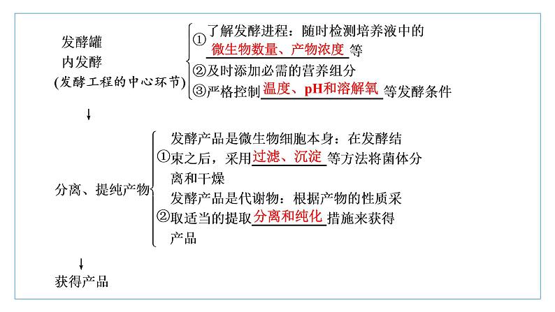 2021-2022学年高中生物新人教版选择性必修3 发酵工程及其应用 课件（42张）（湖南、辽宁、山东）第5页