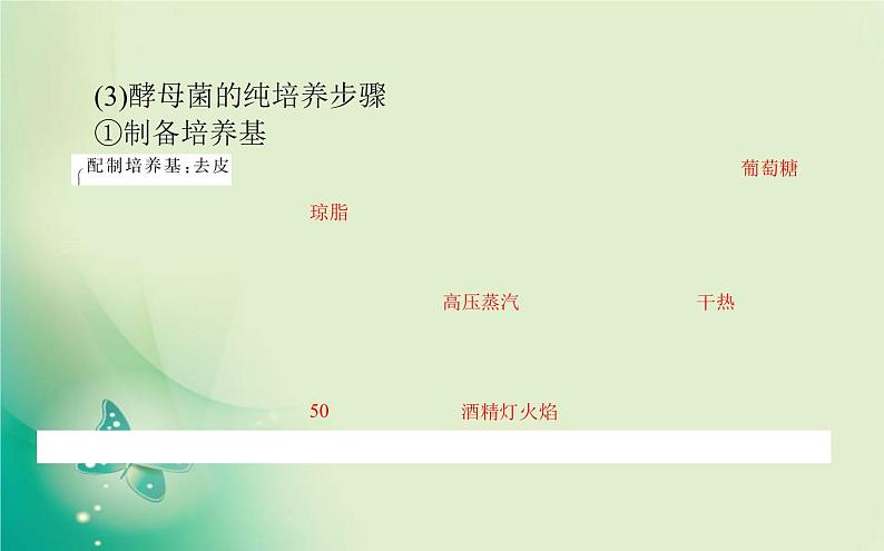 2021-2022学年高中生物新人教版选择性必修3 1.2.1 微生物的基本培养技术 课件（84张）08