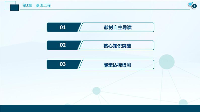 2021-2022学年高中生物新人教版选择性必修3 重组DNA技术的基本工具 （38张）  课件第2页