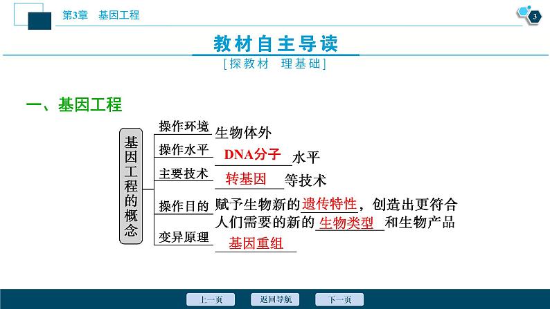 2021-2022学年高中生物新人教版选择性必修3 重组DNA技术的基本工具 （38张）  课件第4页