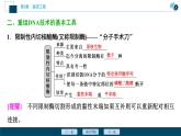 2021-2022学年高中生物新人教版选择性必修3 重组DNA技术的基本工具 （38张）  课件