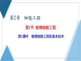 2021-2022学年高中生物新人教版选择性必修3 植物细胞工程的基本技术 课件（55张）（湖南、辽宁、山东）