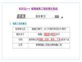 2021-2022学年高中生物新人教版选择性必修3 植物细胞工程的基本技术 课件（55张）（湖南、辽宁、山东）
