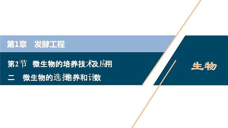 2021-2022学年高中生物新人教版选择性必修3 微生物的选择培养和计数（49张）  课件01