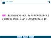 2021-2022学年高中生物新人教版选择性必修3 微生物的选择培养和计数（49张）  课件