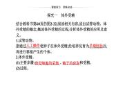 2021-2022学年高中生物新人教版选择性必修3 胚胎工程技术及其应用   课件（26张）