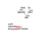 2021-2022学年高中生物新人教版选择性必修3 胚胎工程技术及其应用   课件（26张）