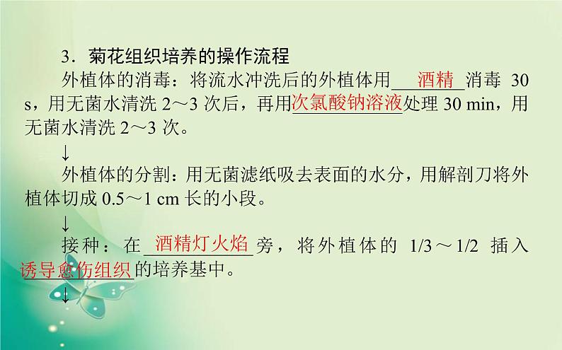 2021-2022学年高中生物新人教版选择性必修3 2.1.1 植物细胞工程的基本技术 课件（77张）04