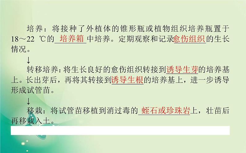 2021-2022学年高中生物新人教版选择性必修3 2.1.1 植物细胞工程的基本技术 课件（77张）05