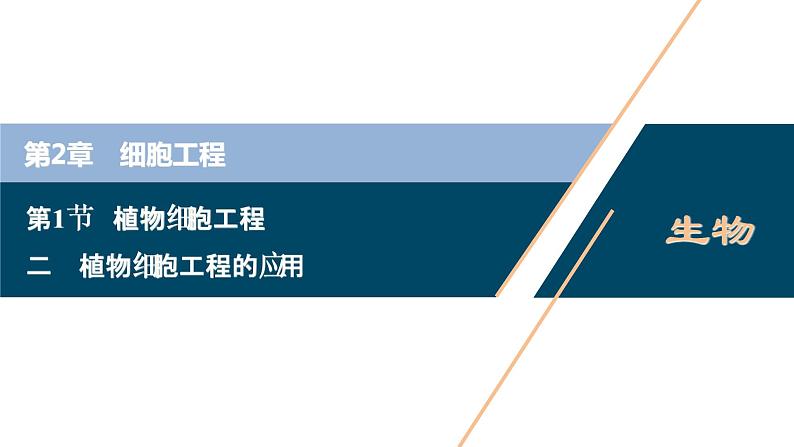 2021-2022学年高中生物新人教版选择性必修3 植物细胞工程的应用（34张）  课件第1页