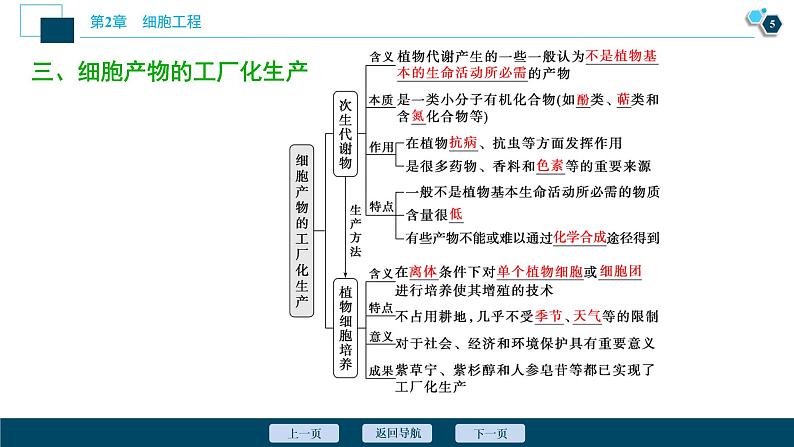 2021-2022学年高中生物新人教版选择性必修3 植物细胞工程的应用（34张）  课件第6页