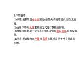 2021-2022学年高中生物新人教版选择性必修3 植物细胞工程的应用   课件（28张）