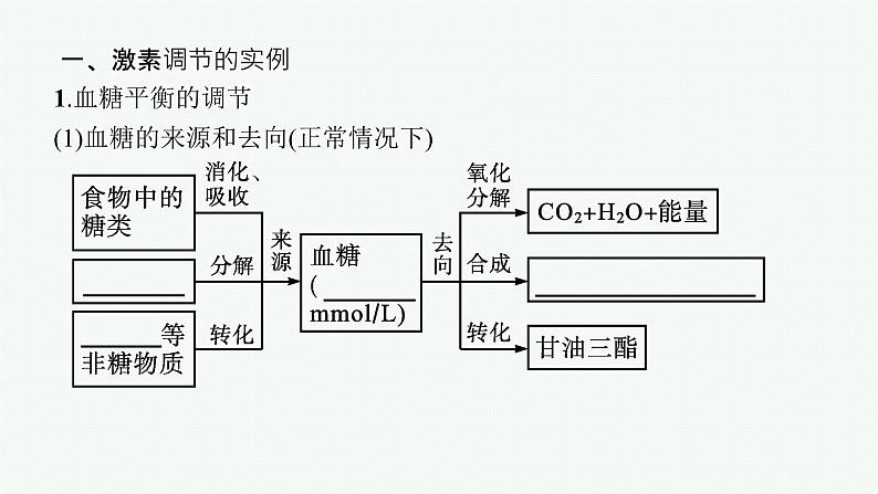 2021-2022学年高中生物新人教版选择性必修1 激素调节的过程（43张）  课件06