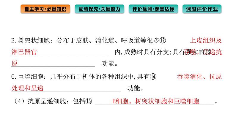 2021-2022学年高中生物新人教版选择性必修1  第4章 第1节 免疫系统的组成和功能 课件（81张）第6页