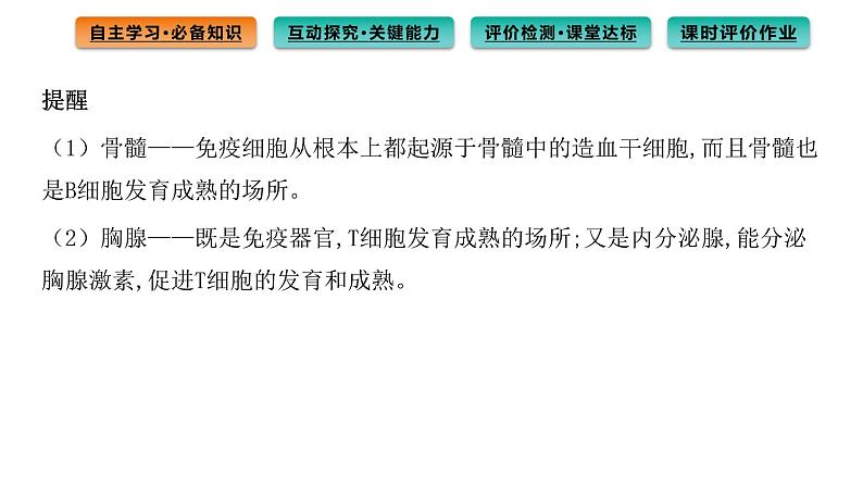 2021-2022学年高中生物新人教版选择性必修1  第4章 第1节 免疫系统的组成和功能 课件（81张）第8页