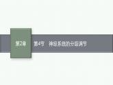 2021-2022学年高中生物新人教版选择性必修1 神经系统的分级调节 课件（33张）