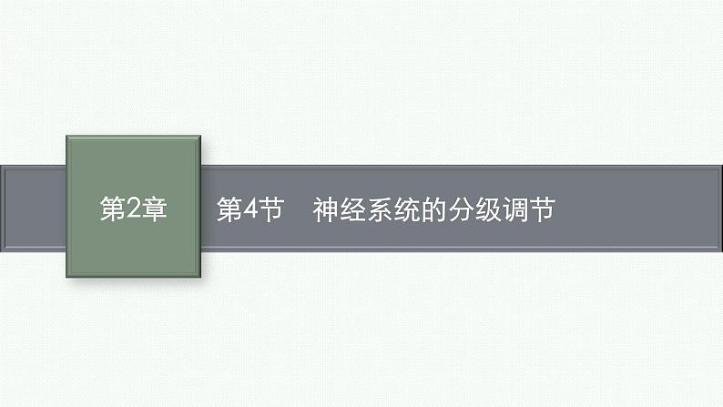 2021-2022学年高中生物新人教版选择性必修1 神经系统的分级调节 课件（33张）第1页