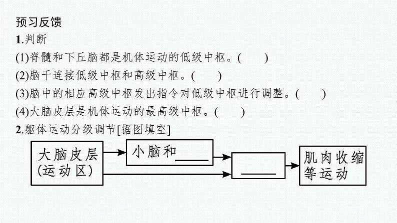 2021-2022学年高中生物新人教版选择性必修1 神经系统的分级调节 课件（33张）第7页