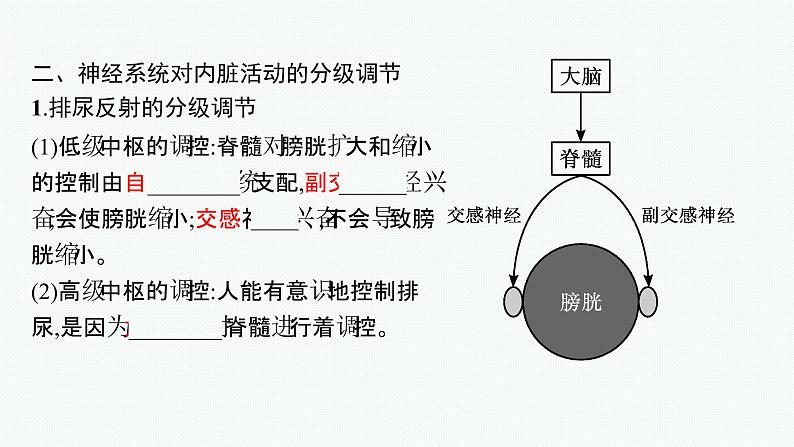 2021-2022学年高中生物新人教版选择性必修1 神经系统的分级调节 课件（33张）第8页