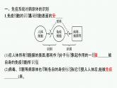 2021-2022学年高中生物新人教版选择性必修1 特异性免疫 课件（49张）