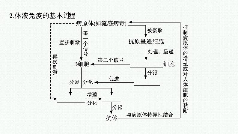 2021-2022学年高中生物新人教版选择性必修1 特异性免疫 课件（49张）第7页