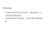 2021-2022学年高中生物新人教版选择性必修1  第4章 第3节 免疫失调 课件（37张）