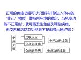 2021-2022学年高中生物新人教版选择性必修1  第4章 第3节 免疫失调 课件（37张）