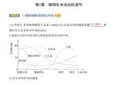 2021-2022学年高中生物新人教版选择性必修1  第5章 第2节　其他植物激素 课件（19张）