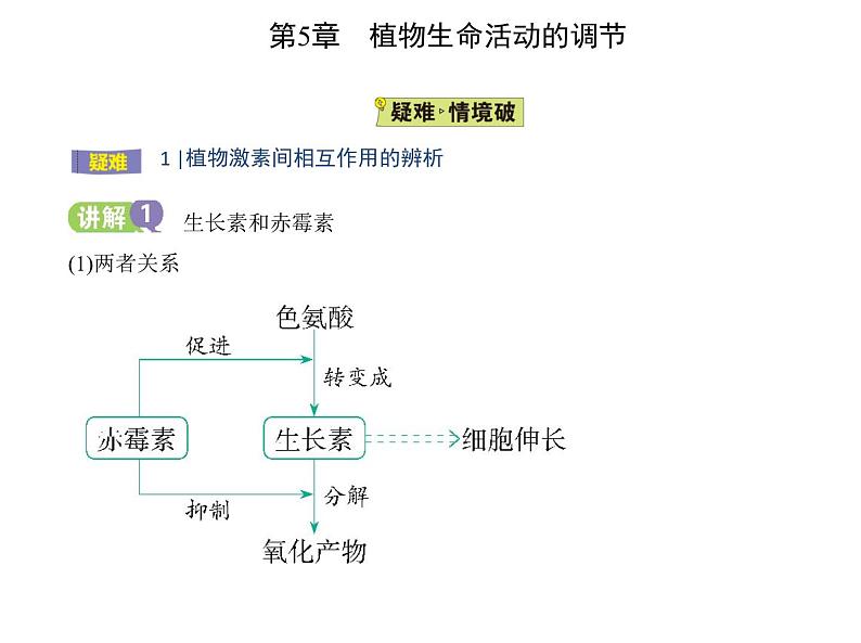 2021-2022学年高中生物新人教版选择性必修1  第5章 第2节　其他植物激素 课件（19张）第8页