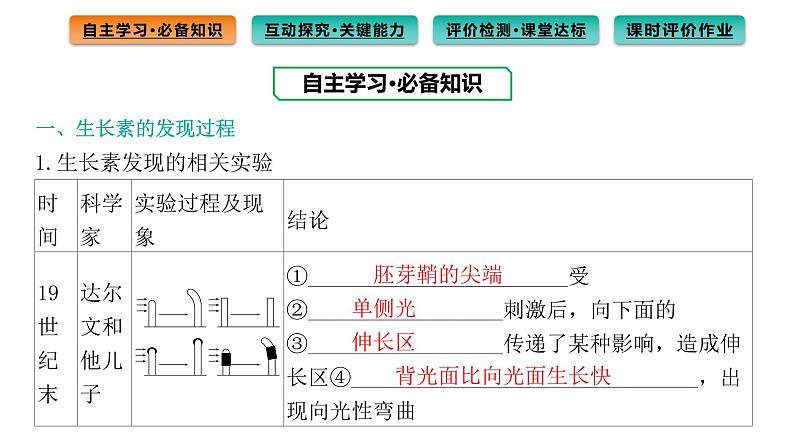 2021-2022学年高中生物新人教版选择性必修1  第5章 第1节 植物生长素 课件（113张）第3页