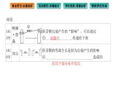 2021-2022学年高中生物新人教版选择性必修1  第5章 第1节 植物生长素 课件（113张）