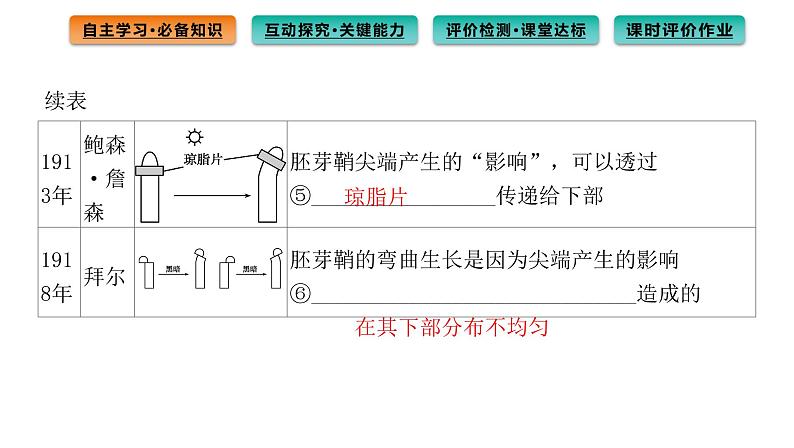 2021-2022学年高中生物新人教版选择性必修1  第5章 第1节 植物生长素 课件（113张）第4页