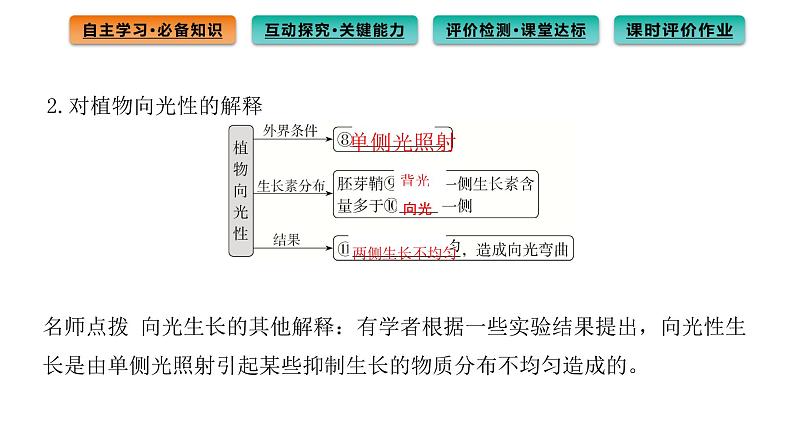 2021-2022学年高中生物新人教版选择性必修1  第5章 第1节 植物生长素 课件（113张）第7页