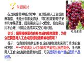 2021-2022学年高中生物新人教版选择性必修1  第5章 第3节 植物生长调节剂的应用 课件（27张）