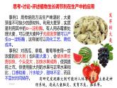 2021-2022学年高中生物新人教版选择性必修1  第5章 第3节 植物生长调节剂的应用 课件（27张）
