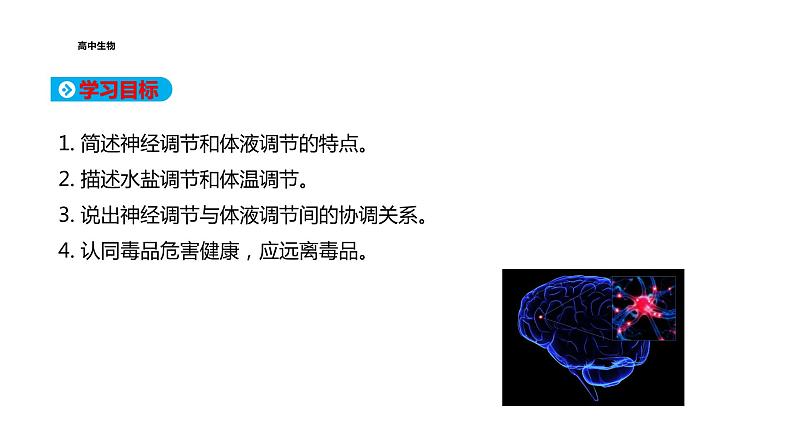 2021-2022学年高中生物新人教版选择性必修1  第3章 第3节 体液调节与神经调节的关系 课件（47张）02