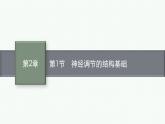 2021-2022学年高中生物新人教版选择性必修1 神经调节的结构基础 课件（33张）