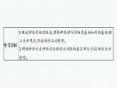 2021-2022学年高中生物新人教版选择性必修1 神经调节的结构基础 课件（33张）