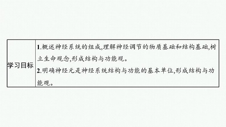 2021-2022学年高中生物新人教版选择性必修1 神经调节的结构基础 课件（33张）03