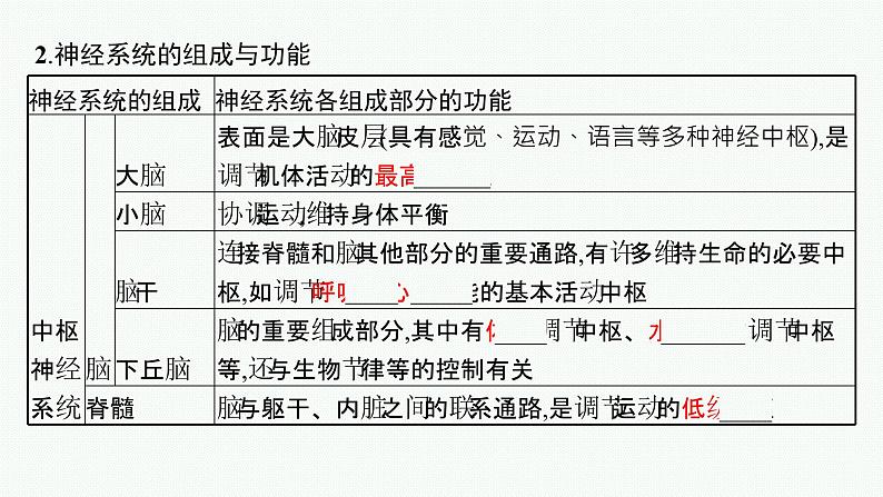 2021-2022学年高中生物新人教版选择性必修1 神经调节的结构基础 课件（33张）06